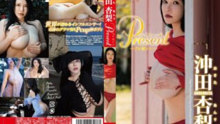 TSDS-46066 오키타 안리