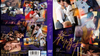 SILK-146 호시조라 모아 하라 미오리 무카이 아이